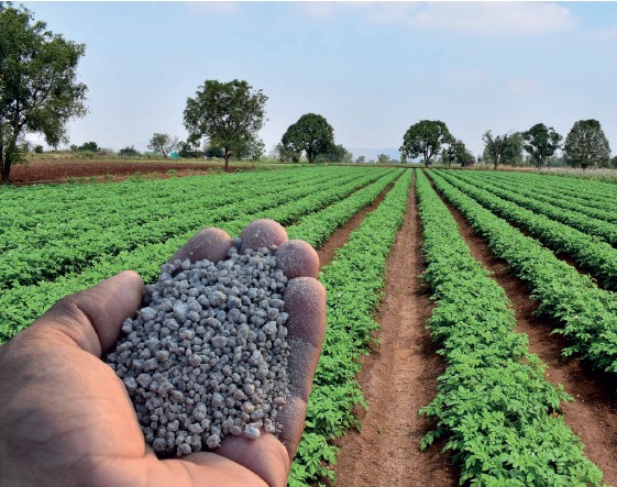 Phosphate Beneficiation Brochure